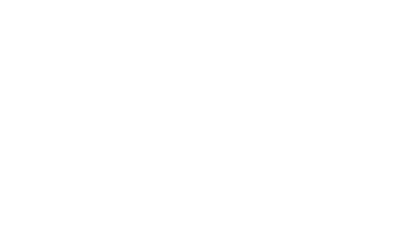 Aldair logo